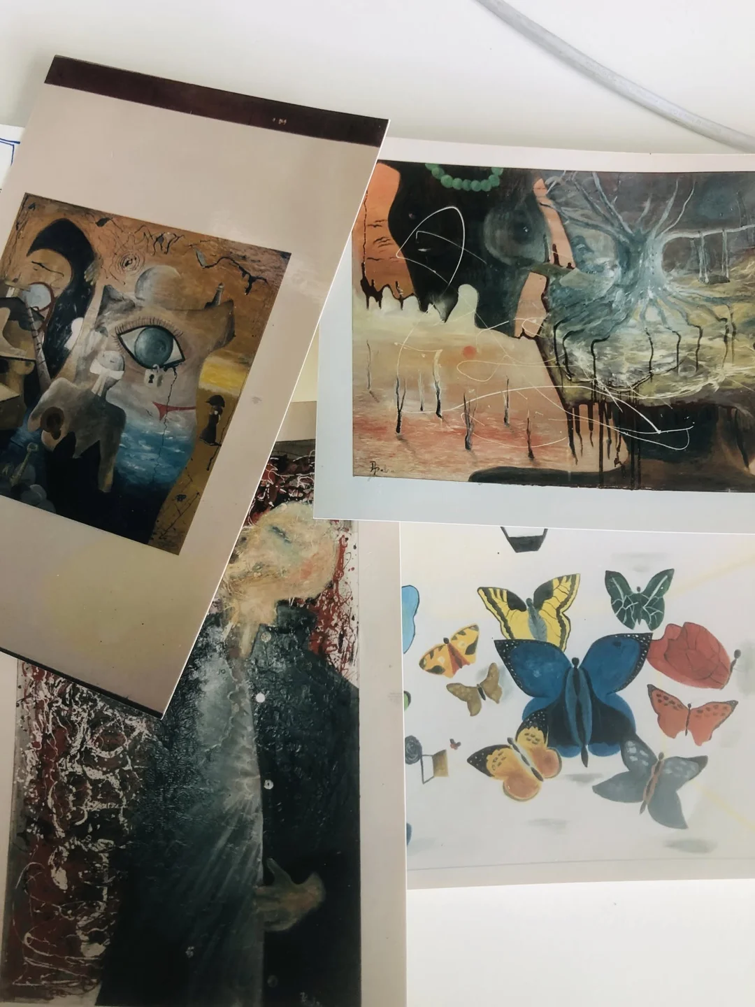 Images and records spanning twenty years of practice